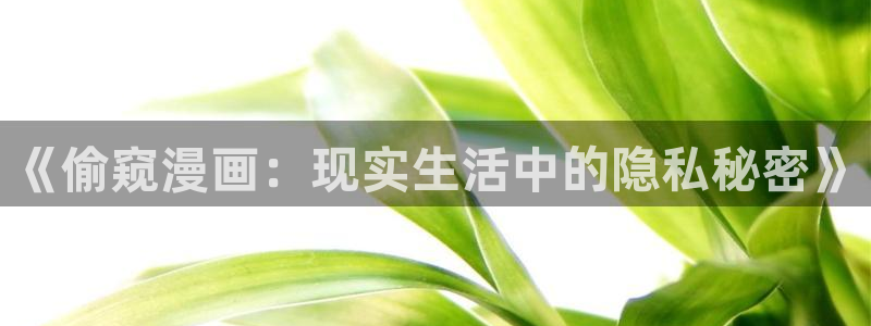 意中人奇漫屋漫画下拉式古风漫画：《偷窥漫画：现实生活中的隐私秘密》