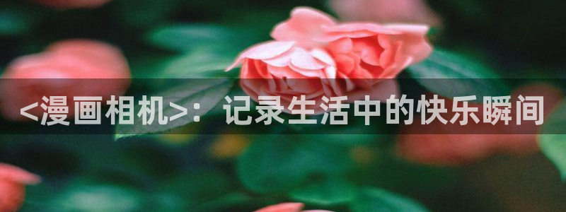 暴夜漫画免费下拉式奇漫屋：<漫画相机>：记录生活中的快乐瞬间